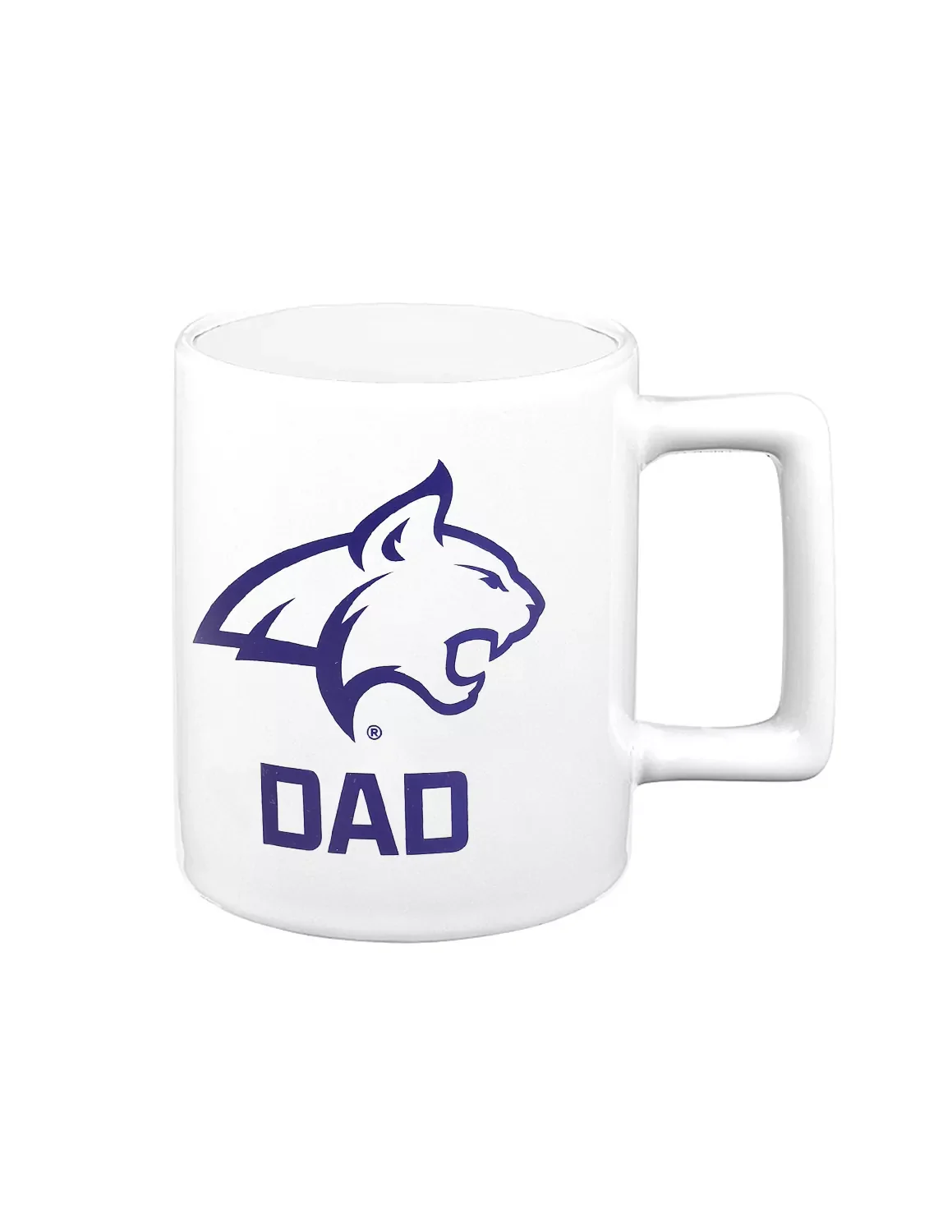 MSU Dad Mug